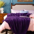 thumbnail image 5 of NTBAY Fluffy Sherpa Throw Blanket for Couch Sofa, Ultra Soft, Warm and Lightweight Shaggy Blanket, 51"x67", Purple, 5 of 5