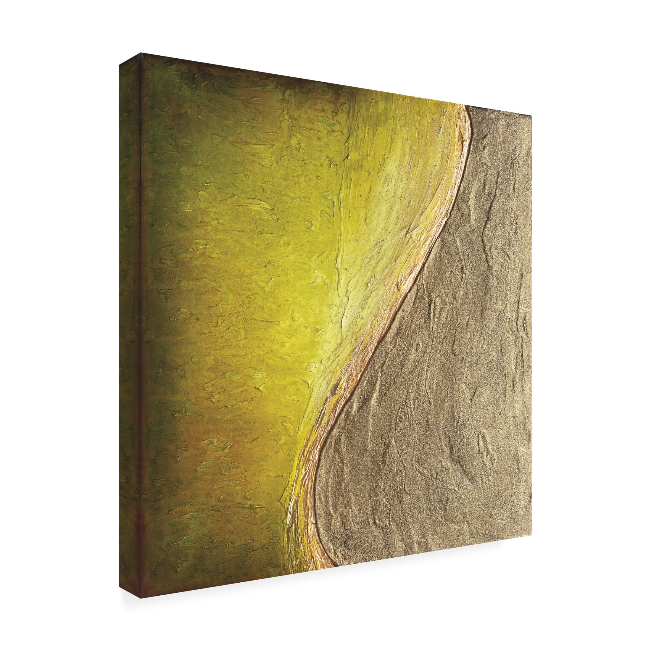 Trademark Fine Art Alyson Storms Forest Sands Canvas Wall Art