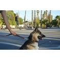 thumbnail image 4 of Colliers Toucher Doux Laisse Tressée en Cuir pour Chien Poignée de Circulation, 4 of 5