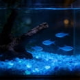 thumbnail image 5 of Bomd 1000pcs 3-5mm Purple Glow Stones Glowing Aquarium Fish Tank Decorations ,Bulk Pebble Craft Small Landscaping Glow Sand Stone for Potted Plant Succulent Decor (Purple), 5 of 6