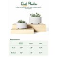 thumbnail image 3 of BEMAY 2-Pack 8+6.5 inch White Ceramic Succulent Pots with Drainage Holes for Indoor, Patio, and Garden Decor Plant Pots, 3 of 9