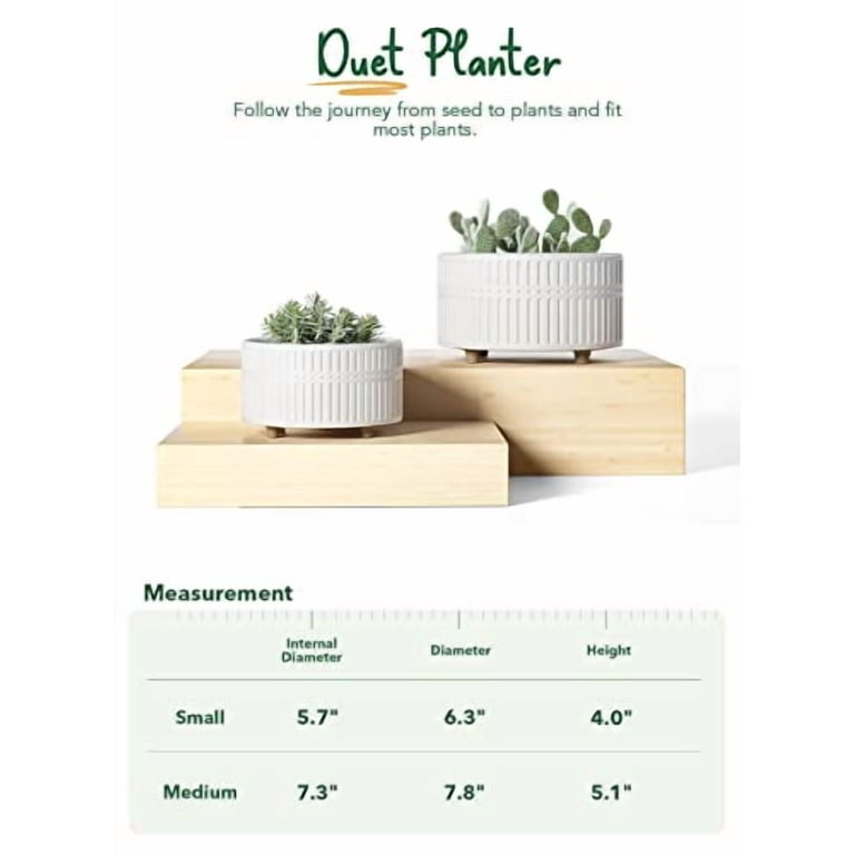 BEMAY 2-Pack White Ceramic Succulent Pots, 6.5 & 8 Inch photo 2