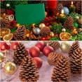 thumbnail image 5 of 9-10cm 6pcs Natural Pine Cones, Large Pinecone,Natural Pinecone Ornaments Big Pinecones for Autumn and Winter Decor, 5 of 5