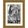thumbnail image 1 of Peebles, Douglas 23x32 Gold Ornate Wood Framed with Double Matting Museum Art Print Titled - Infrared-Waikiki-Honolulu-Waikiki-Hawaii, 1 of 4