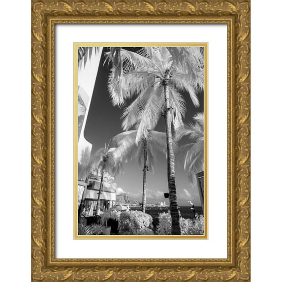 Peebles, Douglas 23x32 Gold Ornate Wood Framed with Double Matting Museum Art Print Titled - Infrared-Waikiki-Honolulu-Waikiki-Hawaii