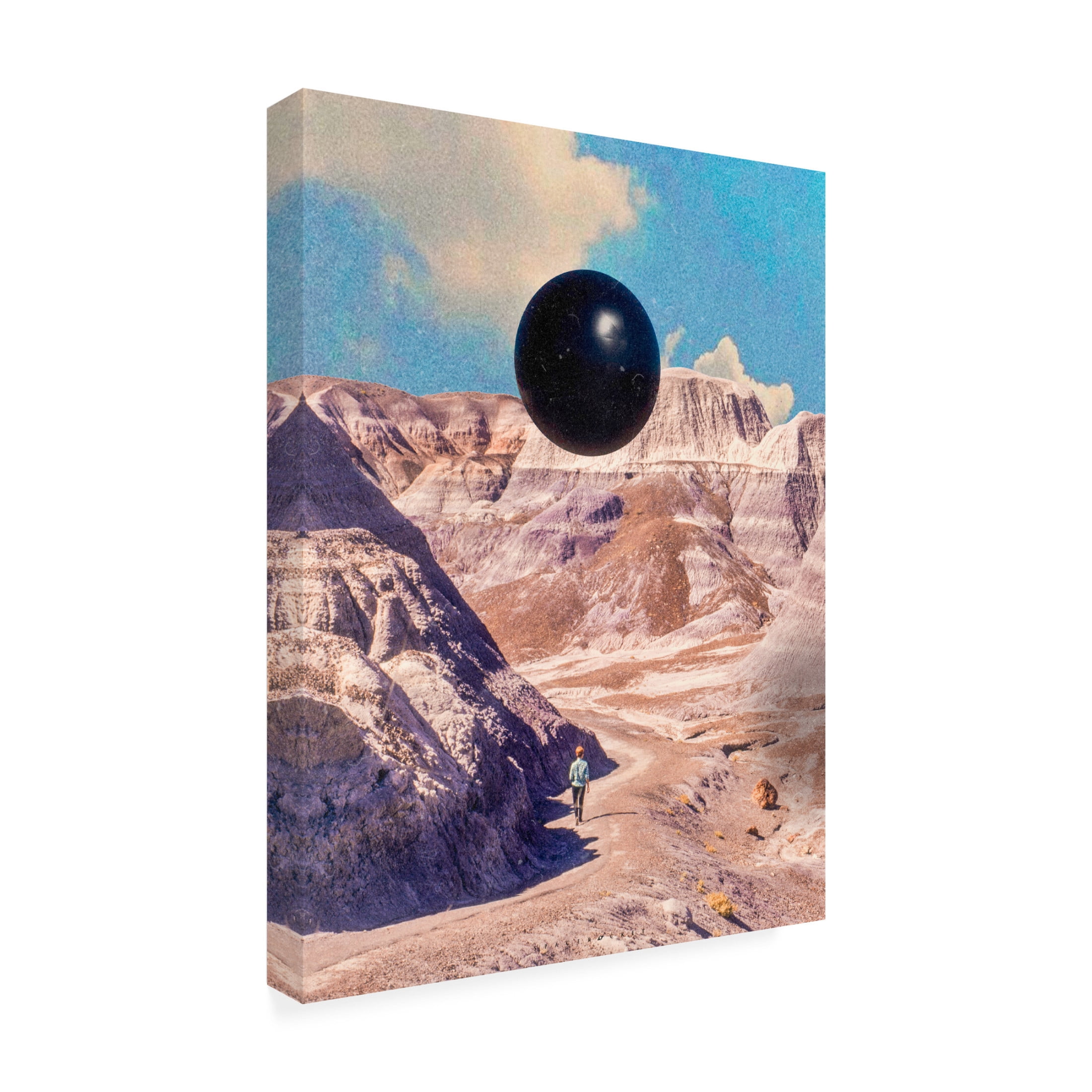 Trademark Fine Art spacerocket art  657 Canvas Wall Art