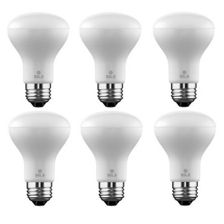 SELS - Smart Era Lighting Systems 6W E26 Dimmable LED Floodlight Light Bulb (Set of