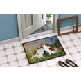 thumbnail image 4 of Japanese Chin Wasabi and Ginger Door Mat, Indoor Rug or Outdoor Welcome Mat 18x2, 4 of 4