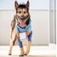 thumbnail image 1 of Funny Express Clothes Disfraz divertido para perros y gatos Disfraz de mascota de Halloween Abrigos y chaquetas Regalos para mascotas Azul (S) ER, 1 of 4
