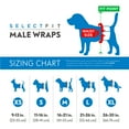 Paw Inspired Select Fit Disposable Male Wrap Belly Band for Male Dogs