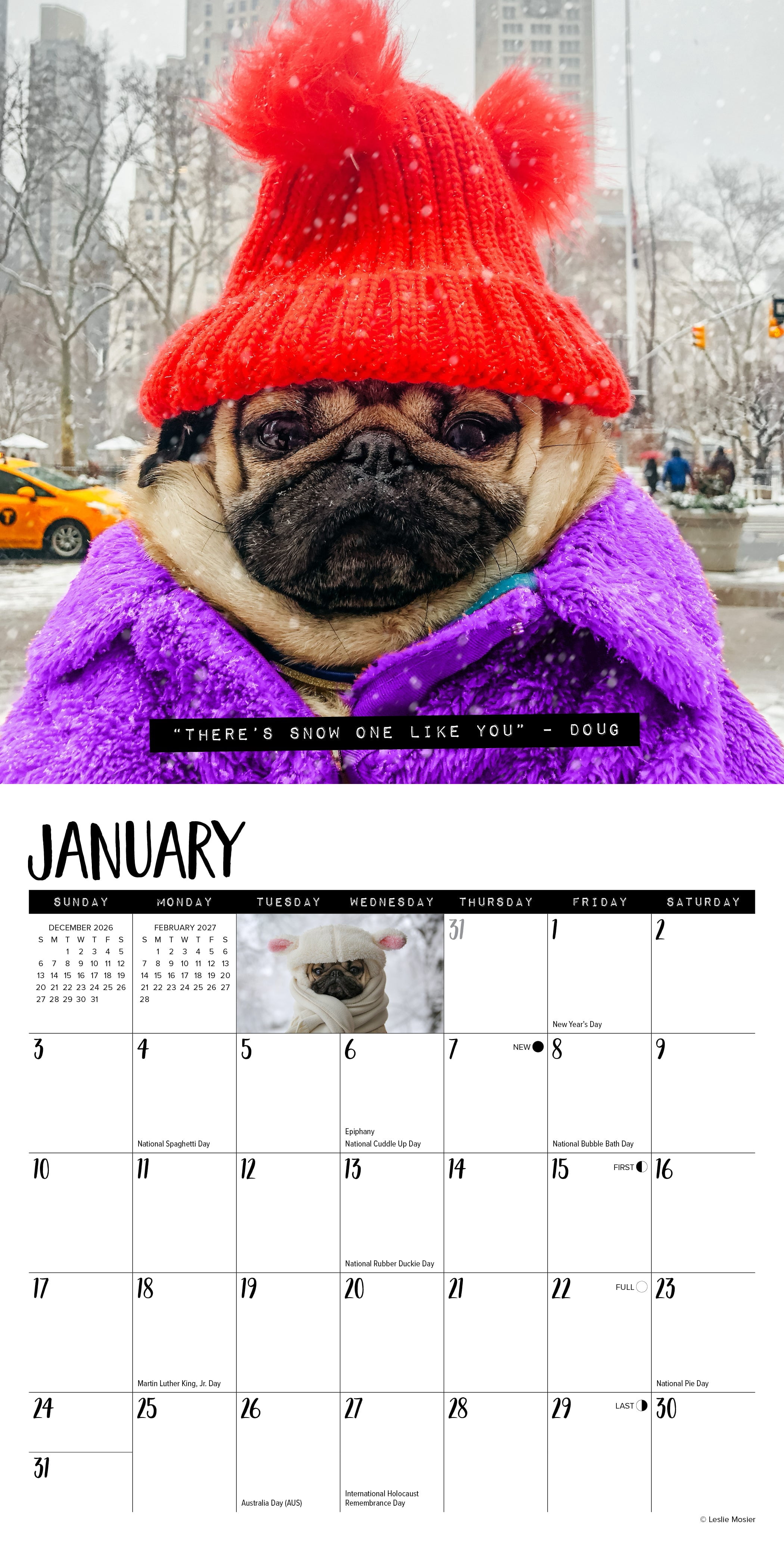 Willow Creek Press, Doug the Pug 2027 Mini Wall Calendar