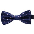 thumbnail image 1 of fastboy Cravate Formelle à Motif Coloré pour Hommes Adulte Homme Affaires Réunion Mariage Fil Polyester Nœud Papillon, 1 of 8