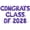 Purple, variant on Letter Balloons - CONGRATS CLASS OF 2028 16" Inch Alphabet Letters Foil Mylar Balloon Graduation Party Banner (Purple)