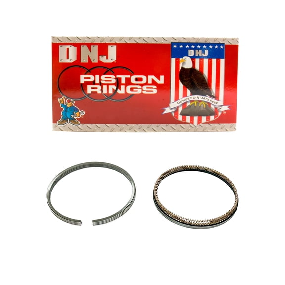 DNJ PR641 Piston Rings Set Fits Cars & Trucks 95-99 Nissan 1.6L DOHC