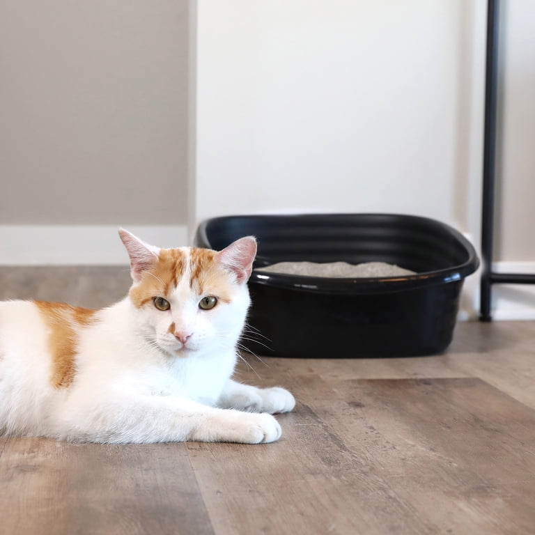 Arm & Hammer Simply Recycled Open Top Cat Litter Box, Large photo 8