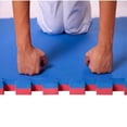thumbnail image 5 of Piso para Gimnasio Tapete Gym 100x100 X 2 Cm Ejercicio Fitness Lumax  Color Rojo/Azul, 5 of 5