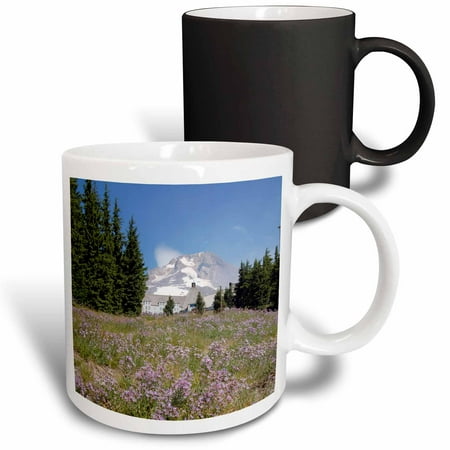 3drose, Oregon, Mt. Hood. Timberline Lodge, Mt. Hood - Us38 Lse0002 - Lynn Seldon, 11oz Magic Transforming Mug
