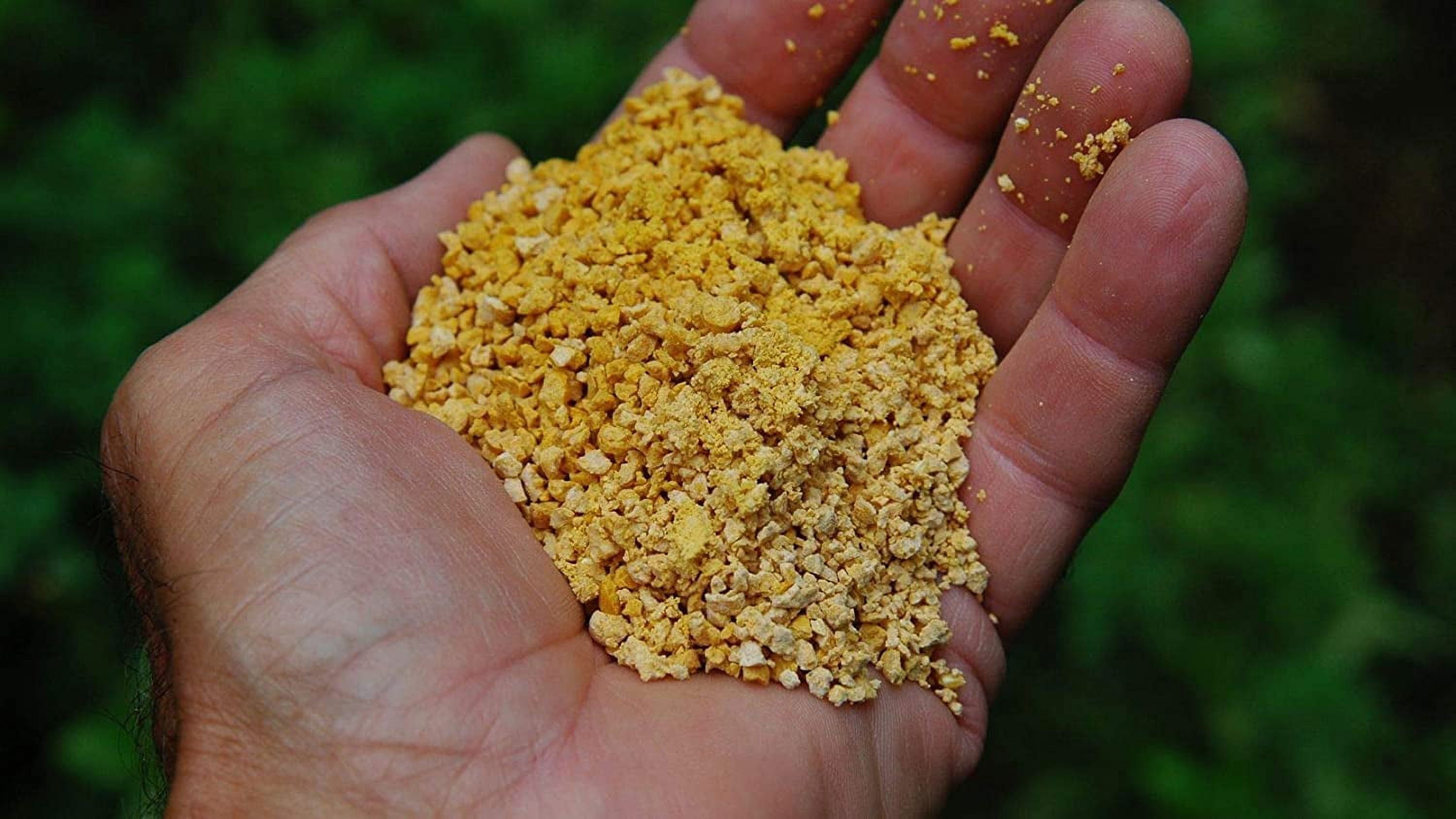 Corn Gluten Meal - Produced and Shipped for Iowa, USA (10 Pounds)