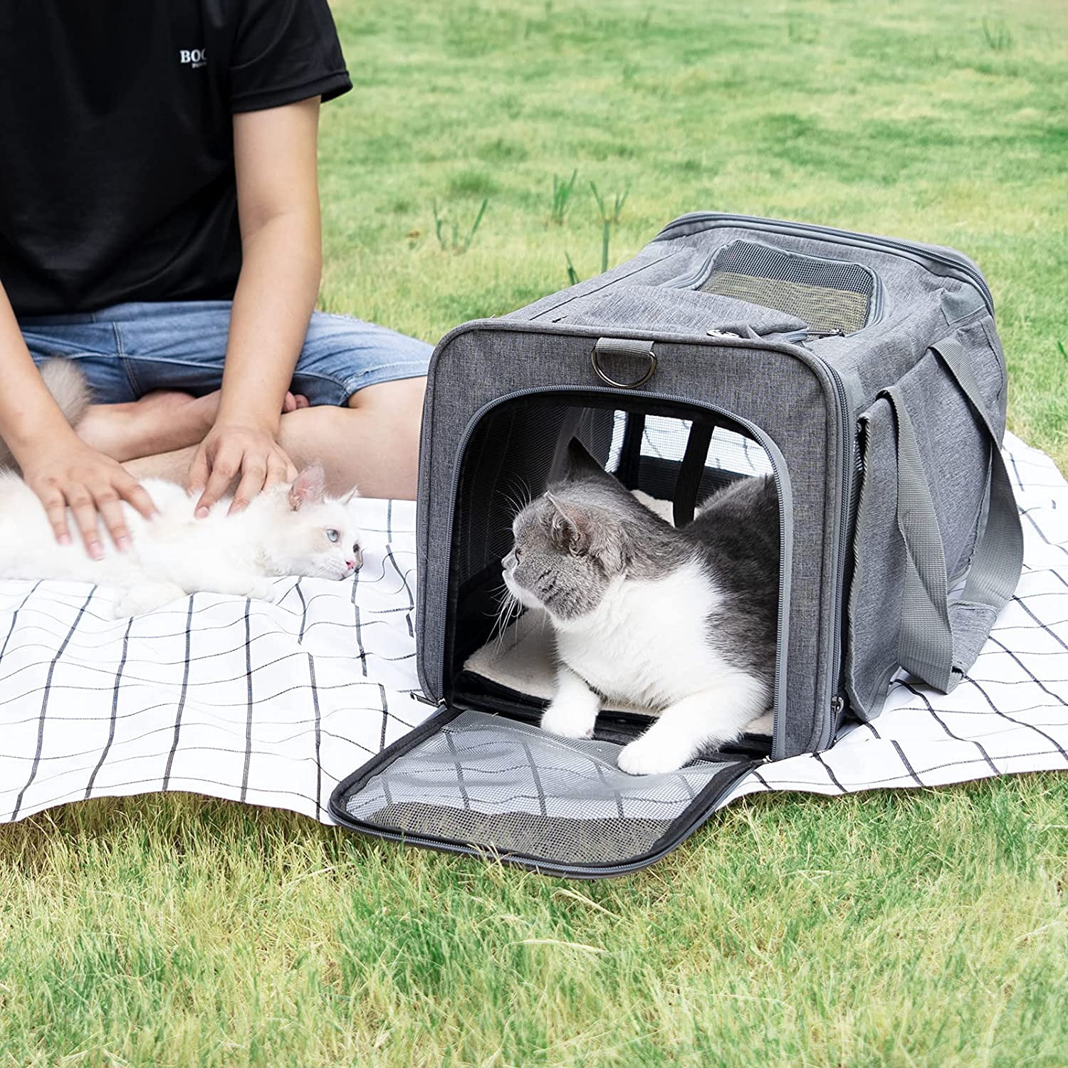 Cat Carriers for Large Cats 20 lbs+ Soft Pet Carrier for Small Dog/Durable 2 Kitty Travel Bag/Medium Big Cats Puppy 15 Pounds/Softside Cat Carrier Large