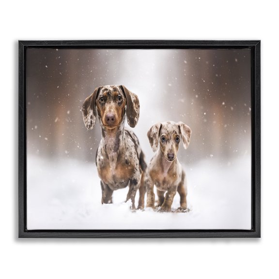 Stupell Industries Eclectic Playing Puppies in Snow Black Floating Frame Canvas Art, 21 x 17, by Natalie Grosse