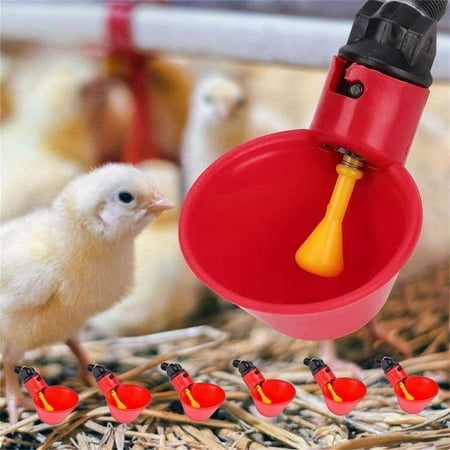 

Fjofpr Hot kitchen Poultry/Quail Water Drinking Cups Chicken Hen Plastic Automatic Drinker New
