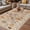 Brown, variant on Retro Ocean Outdoor Rug for Patio/Deck/Porch, Non-Slip Large Area Rug 5 x 7 Ft, Brown Coastal Shells Conch Underwater Indoor Outdoor Rugs Washable Area Rugs, Reversible Camping Rug Carpet Runner