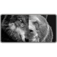 thumbnail image 1 of Half Wolf Half Bear Photo License Plate, 1 of 1
