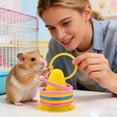 thumbnail image 4 of BotaniNest Rabbit Interactive Educational Interesting Rabbit Rings And Games Suitable For Small Animals Squirrels Birds Cats Hamsters Indoor Or Cages, 4 of 5