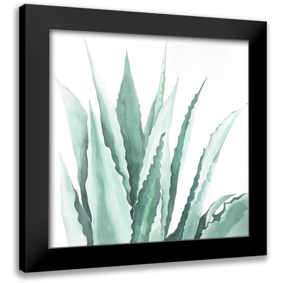 Atelier B Art Studio 12x12 Black Modern Framed Museum Art Print Titled - Watercolor Agave Plant