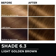 Garnier Olia Oil Powered Permanent Hair Color, 6.3 Light Golden Brown