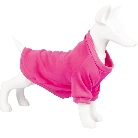 Pet's two legged clothes Dog's thickened sweater Autumn and winter pet clothes