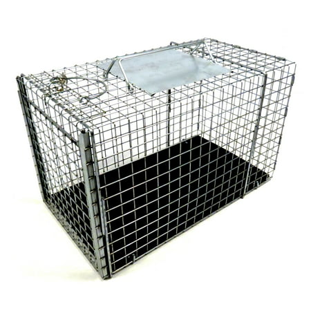 Cat trap cage