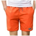 thumbnail image 2 of Babysbule Mens Sports Shorts Pants Fashion Man Casual Loose Sport Bandage Summer Pants Activewear Shorts, 2 of 7