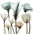 thumbnail image 2 of Koetsier, Albert 26x26 Black Ornate Wood Framed with Double Matting Museum Art Print Titled - Sandy Floral Cluster 1, 2 of 4