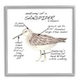 thumbnail image 3 of Stupell Industries Sandpiper Beach Bird Wildlife Learning Facts Chart Graphic Art Gray Framed Art Print Wall Art, Design by Dishique, 3 of 5