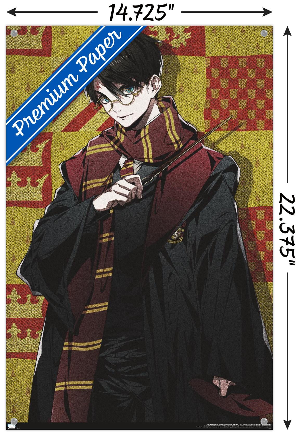 The Wizarding World: Harry Potter - Dynasty Harry Wall Poster with Push Pins, 14.725" x 22.375"