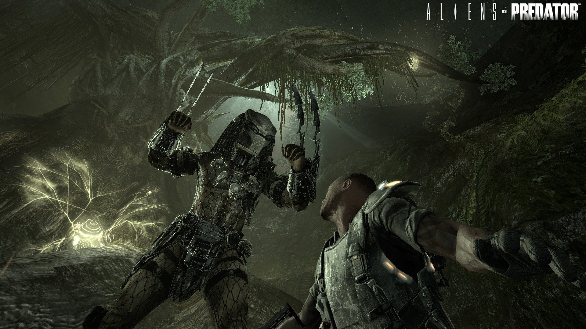 Alien Vs Predator (PC)
