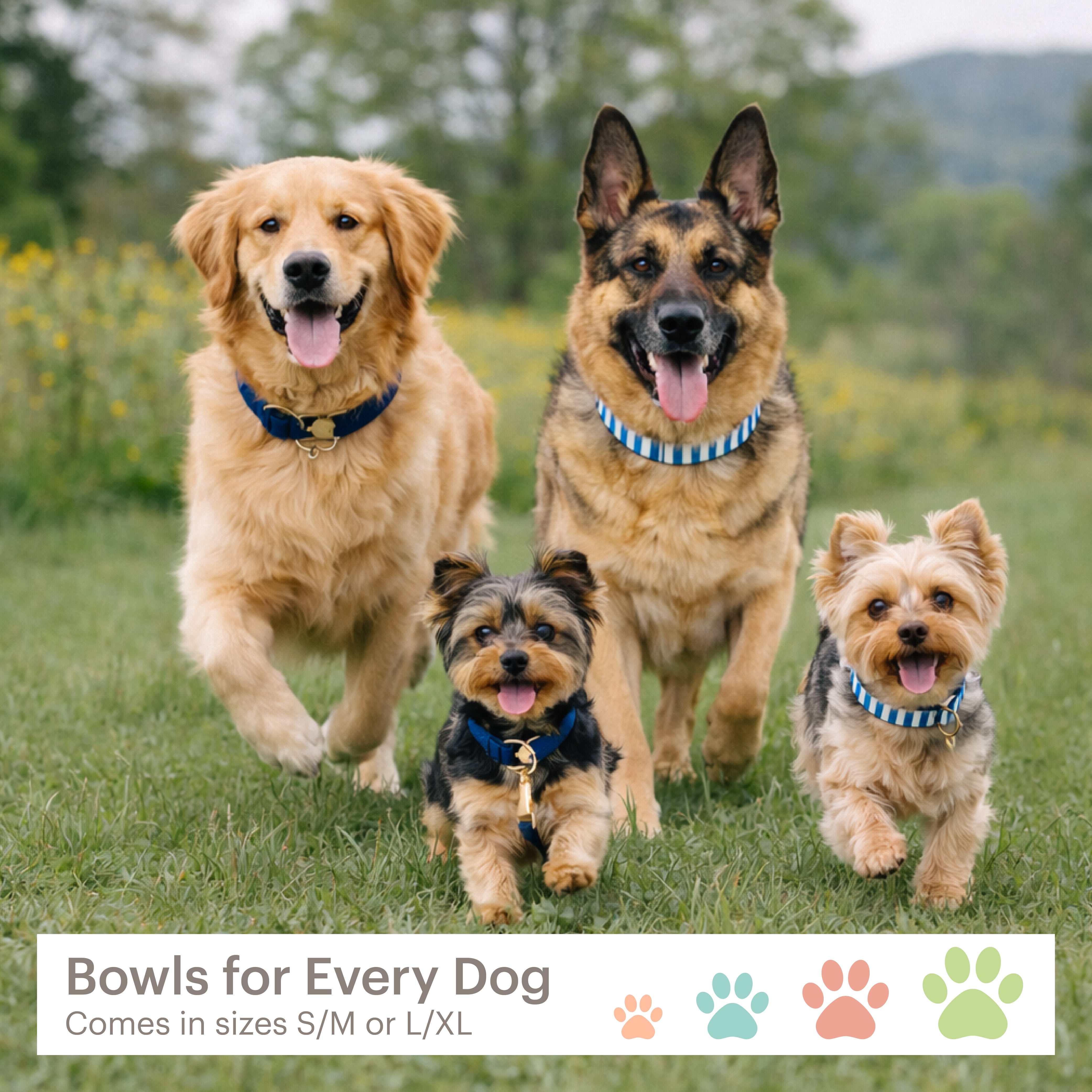 3 in 1 Melamine Dog Bowl Set with Lid Medium Blue Small