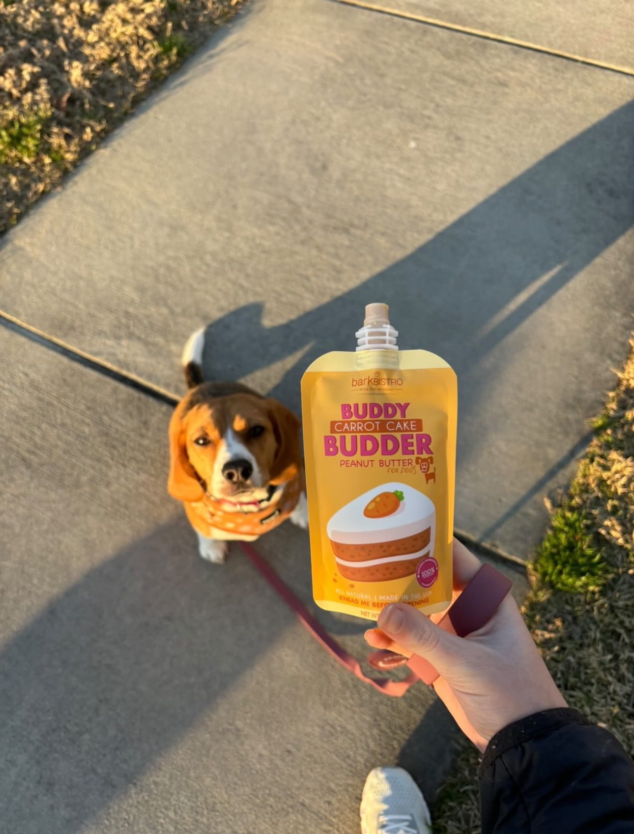6pk Mixed Buddy Budder Squeeze Pack, Dog Peanut Butter, 4oz each