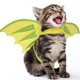 thumbnail image 1 of Disfraz de mascota de Halloween Disfraz de cosplay para perros y gatos Accesorios de cosplay de Halloween, 1 of 8