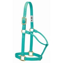 Weaver Original Nylon Halter Color: Mint Size: Large