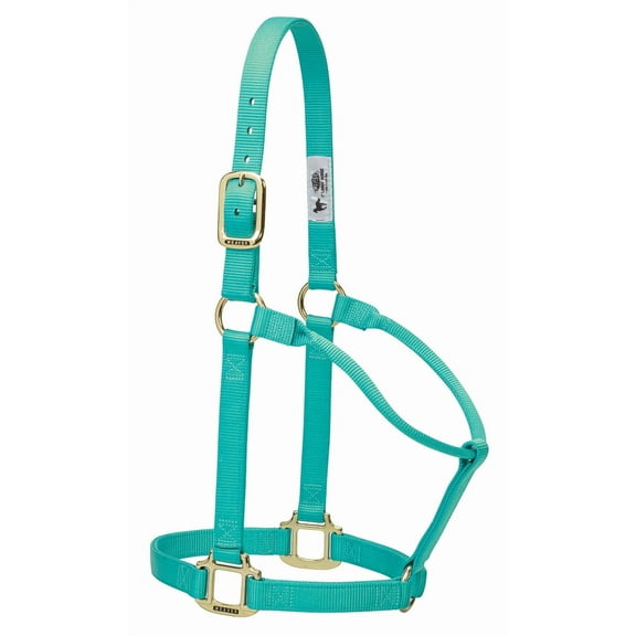 Weaver Original Nylon Halter Color: Mint Size: Large