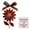 Pointettia, variant on DAMAI Handmade Daisy Sea Acrylic Ornament, Flower Decorative Flat Acrylic Gift, Perfect for Farmhouse, Rustic Styles, Daisy Lovers and Christmas Tree Decoration