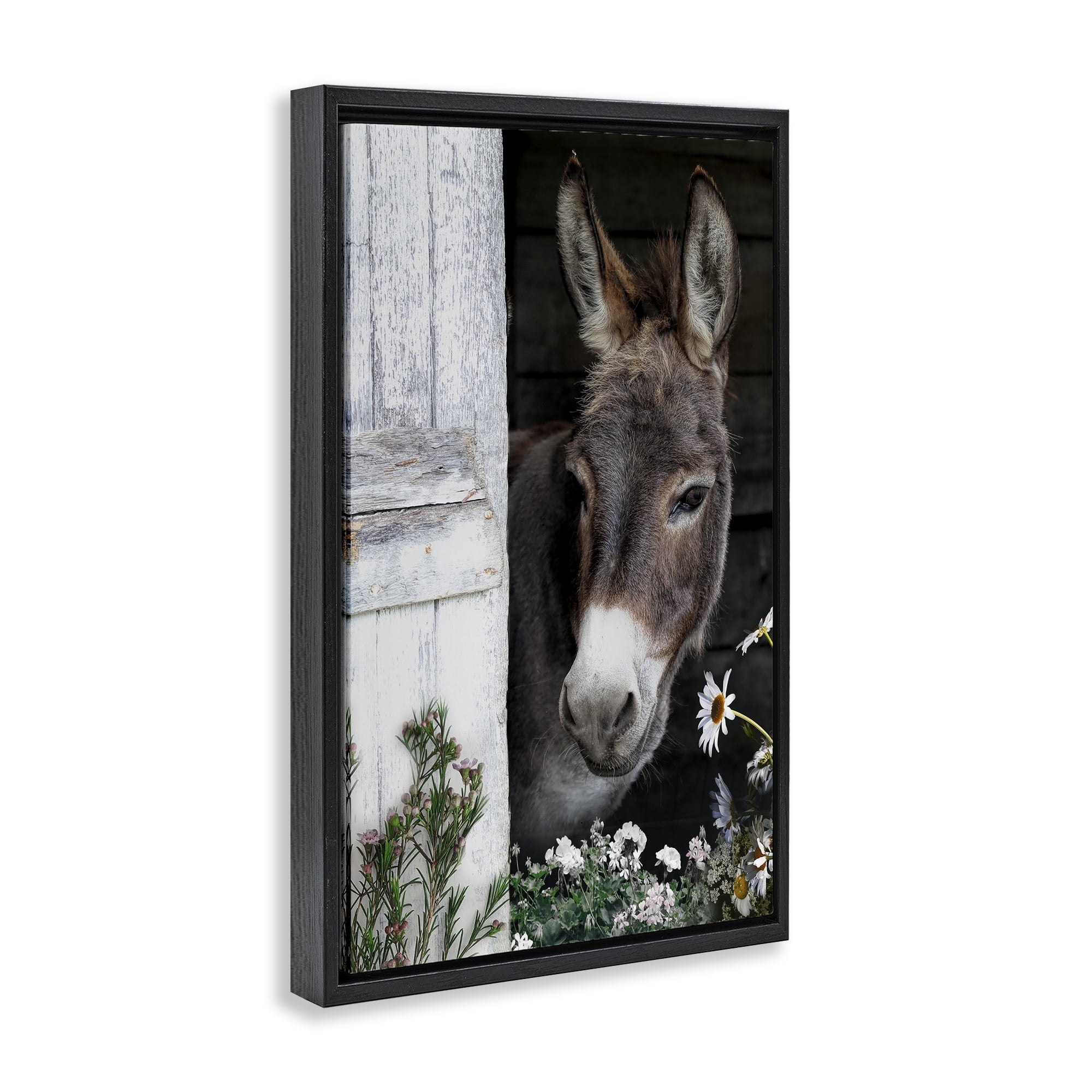 Stupell Industries Gentle Donkey Peering from Barn Black Framed Floater Canvas Wall Art, design by CAD Designs