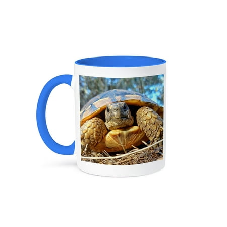 

3dRose Close Up Of A Cute Tortoise 15oz Two-Tone Blue Mug