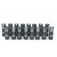thumbnail image 1 of 88958689 Lève-Rouleaux Hydrauliques Racing 0.842 in. OD GM LS-Series - Lot de 16, 1 of 1