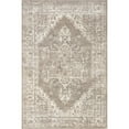 thumbnail image 6 of nuLOOM Gena Distressed Transitional Medallion Area Rug, 8' x 10', Gena Beige, 6 of 8