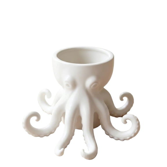 Octopus Planter Pot, Creative Succulent Plant Pot Decorative Flower Pot, Unique Resin Plant Holder for Indoor Outdoor Home Decor Desk Table Garden Planter Container Gift Idea