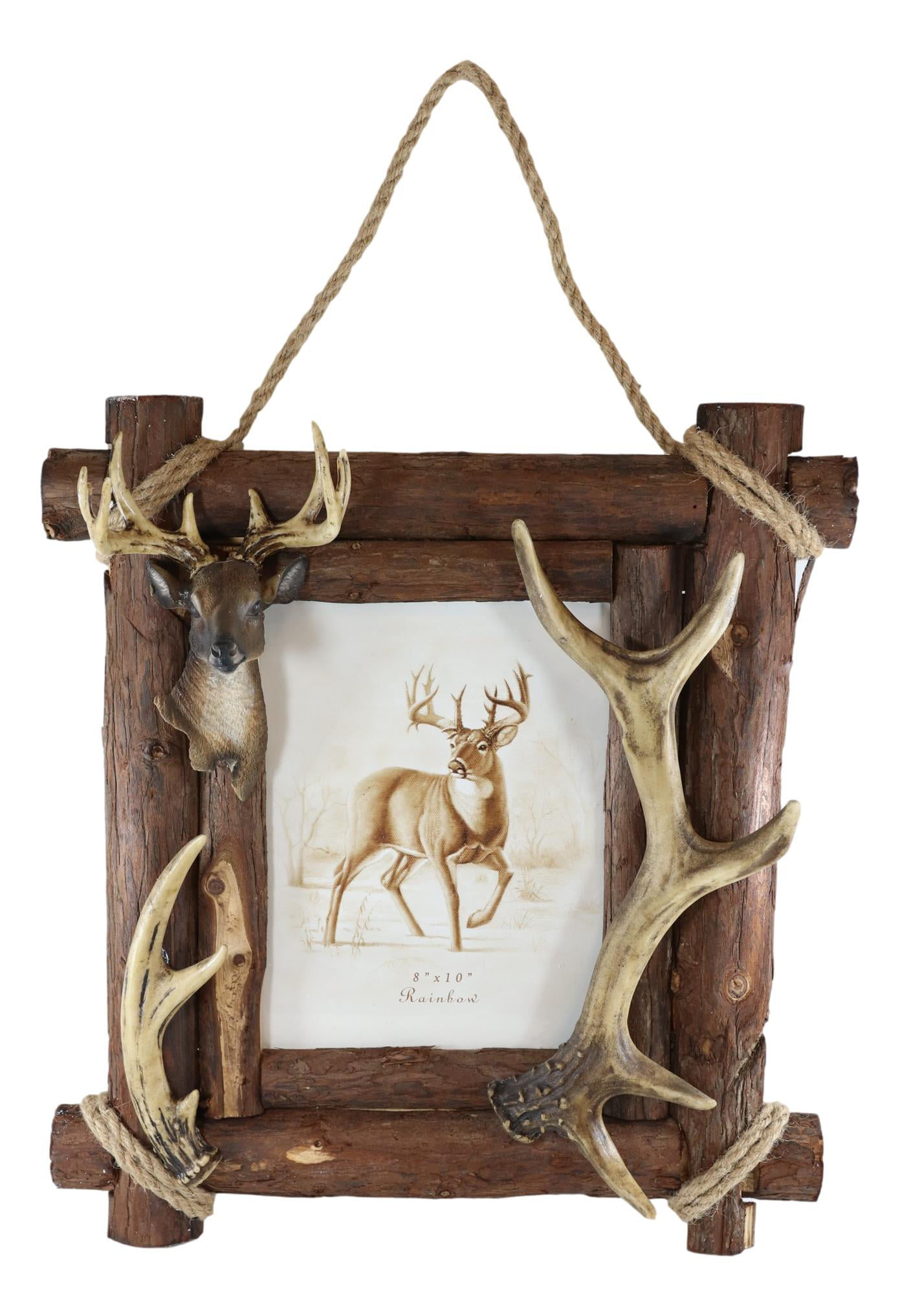 Florida Deer Small Antler Taxidermy with felt back – Vintage Arts Inc.