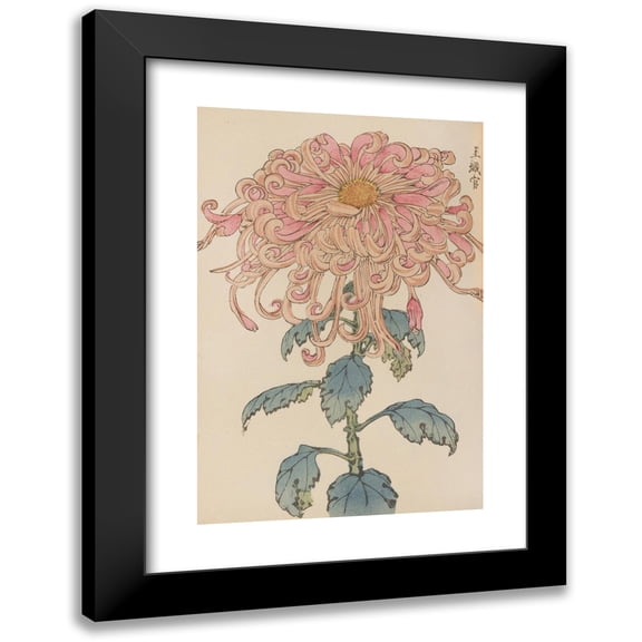 Keika Hasegawa 11x14 Black Modern Framed Museum Art Print Titled - Keika Hyakugiku, Pl.06 (1893)